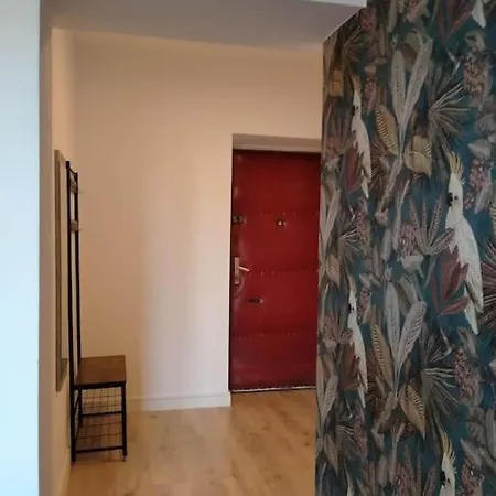 Parrot'S Apartment-2